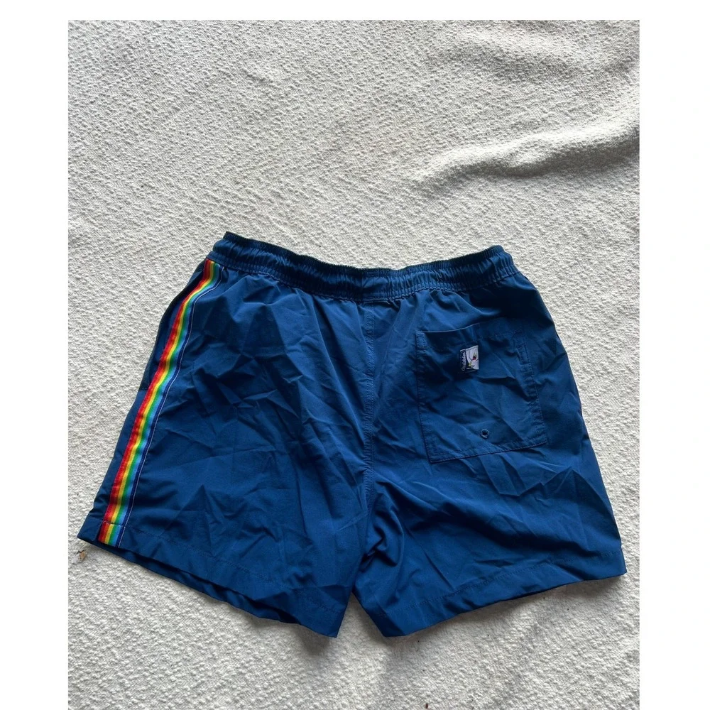 Chubbies Mens Swim Trunks Navy Blue Rainbow Stripe Mesh Liner Small 5.5 Inseam